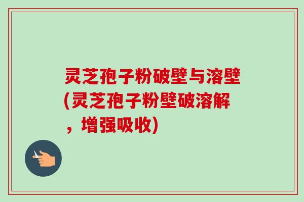 灵芝孢子粉破壁与溶壁(灵芝孢子粉壁破溶解,增强吸收) 灵芝孢子粉破壁与溶壁(灵芝孢子粉壁破溶解,增强吸收)