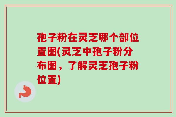 孢子粉在灵芝哪个部位置图(灵芝中孢子粉分布图,了解灵芝孢子粉位置) 孢子粉在灵芝哪个部位置图(灵芝中孢子粉分布图,了解灵芝孢子粉位置)