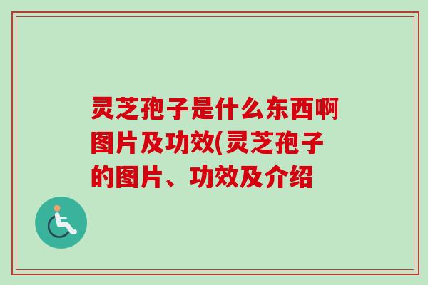 灵芝孢子是什么东西啊图片及功效(灵芝孢子的图片、功效及介绍 灵芝孢子是什么东西啊图片及功效(灵芝孢子的图片、功效及介绍