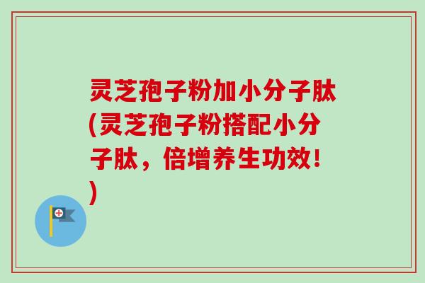 灵芝孢子粉加小分子肽(灵芝孢子粉搭配小分子肽,倍增养生功效!) 灵芝孢子粉加小分子肽(灵芝孢子粉搭配小分子肽,倍增养生功效!)