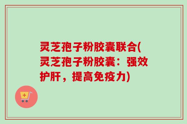 灵芝孢子粉胶囊联合(灵芝孢子粉胶囊：强效，提高免疫力)