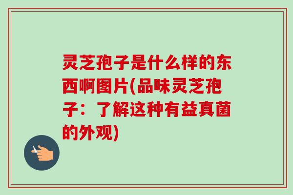 灵芝孢子是什么样的东西啊图片(品味灵芝孢子:了解这种有益真菌的外观) 灵芝孢子是什么样的东西啊图片(品味灵芝孢子:了解这种有益真菌的外观)