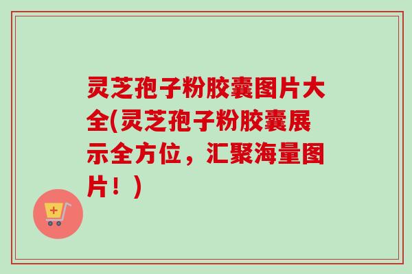 灵芝孢子粉胶囊图片大全(灵芝孢子粉胶囊展示全方位，汇聚海量图片！)