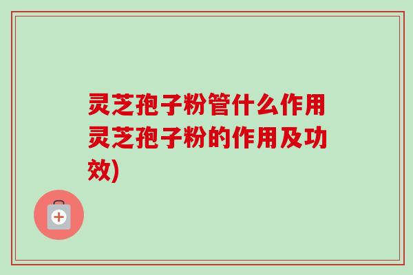 灵芝孢子粉管什么作用灵芝孢子粉的作用及功效) 灵芝孢子粉管什么作用灵芝孢子粉的作用及功效)