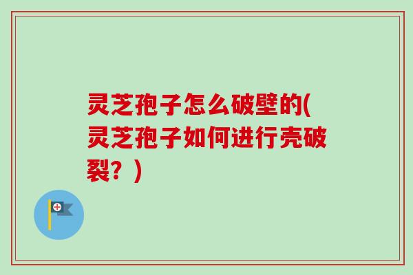 灵芝孢子怎么破壁的(灵芝孢子如何进行壳破裂?) 灵芝孢子怎么破壁的(灵芝孢子如何进行壳破裂?)