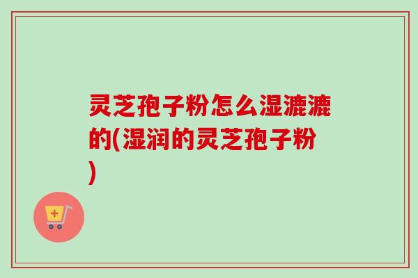 灵芝孢子粉怎么湿漉漉的(湿润的灵芝孢子粉) 灵芝孢子粉怎么湿漉漉的(湿润的灵芝孢子粉)
