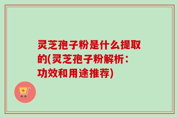 灵芝孢子粉是什么提取的(灵芝孢子粉解析：功效和用途推荐)