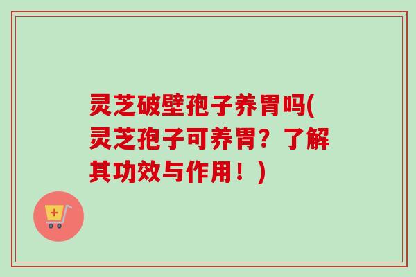 灵芝破壁孢子养胃吗(灵芝孢子可养胃?了解其功效与作用!) 灵芝破壁孢子养胃吗(灵芝孢子可养胃?了解其功效与作用!)