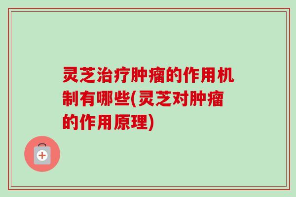 灵芝的作用机制有哪些(灵芝对的作用原理)