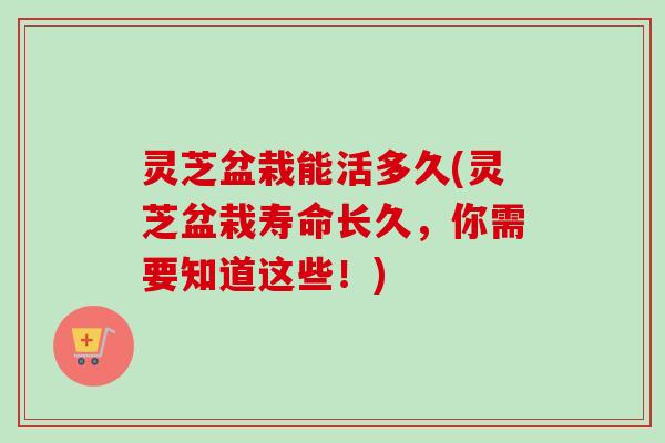 灵芝盆栽能活多久(灵芝盆栽寿命长久,你需要知道这些!) 灵芝盆栽能活多久(灵芝盆栽寿命长久,你需要知道这些!)