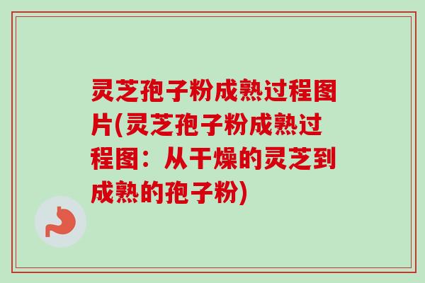 灵芝孢子粉成熟过程图片(灵芝孢子粉成熟过程图:从干燥的灵芝到成熟的孢子粉) 灵芝孢子粉成熟过程图片(灵芝孢子粉成熟过程图:从干燥的灵芝到成熟的孢子粉)