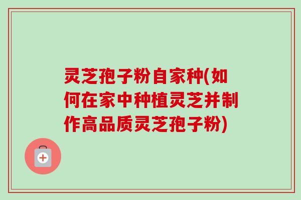灵芝孢子粉自家种(如何在家中种植灵芝并制作高品质灵芝孢子粉) 灵芝孢子粉自家种(如何在家中种植灵芝并制作高品质灵芝孢子粉)