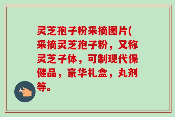灵芝孢子粉采摘图片(采摘灵芝孢子粉,又称灵芝子体,可制现代保健品,豪华礼盒,丸剂等。 灵芝孢子粉采摘图片(采摘灵芝孢子粉,又称灵芝子体,可制现代保健品,豪华礼盒,丸剂等。