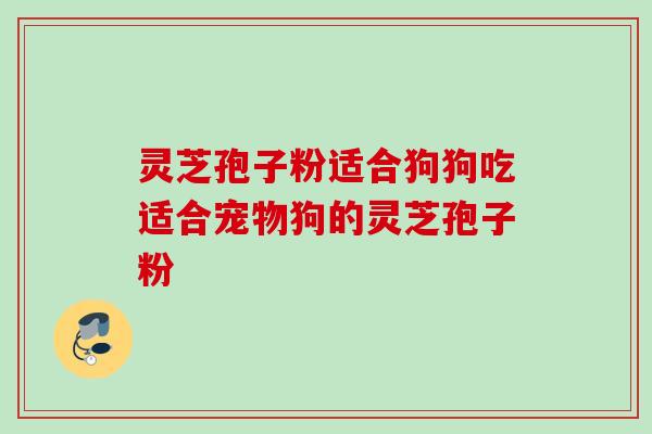 灵芝孢子粉适合狗狗吃适合宠物狗的灵芝孢子粉 灵芝孢子粉适合狗狗吃适合宠物狗的灵芝孢子粉