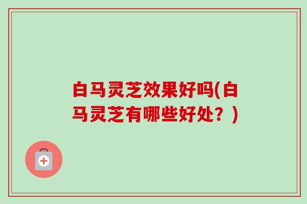 白马灵芝效果好吗(白马灵芝有哪些好处?) 白马灵芝效果好吗(白马灵芝有哪些好处?)