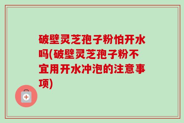破壁灵芝孢子粉怕开水吗(破壁灵芝孢子粉不宜用开水冲泡的注意事项) 破壁灵芝孢子粉怕开水吗(破壁灵芝孢子粉不宜用开水冲泡的注意事项)