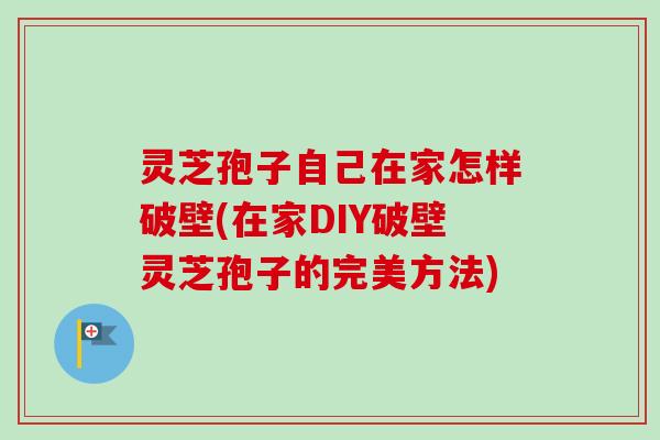 灵芝孢子自己在家怎样破壁(在家DIY破壁灵芝孢子的完美方法) 灵芝孢子自己在家怎样破壁(在家DIY破壁灵芝孢子的完美方法)