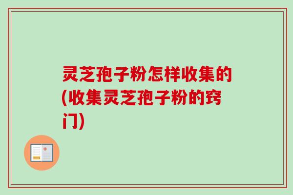 灵芝孢子粉怎样收集的(收集灵芝孢子粉的窍门) 灵芝孢子粉怎样收集的(收集灵芝孢子粉的窍门)