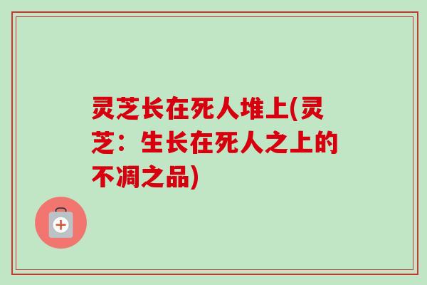 灵芝长在死人堆上(灵芝:生长在死人之上的不凋之品) 灵芝长在死人堆上(灵芝:生长在死人之上的不凋之品)
