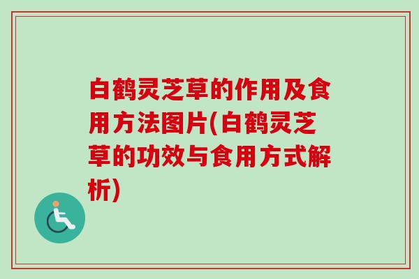 白鹤灵芝草的作用及食用方法图片(白鹤灵芝草的功效与食用方式解析) 白鹤灵芝草的作用及食用方法图片(白鹤灵芝草的功效与食用方式解析)