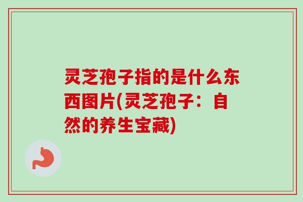 灵芝孢子指的是什么东西图片(灵芝孢子:自然的养生宝藏) 灵芝孢子指的是什么东西图片(灵芝孢子:自然的养生宝藏)