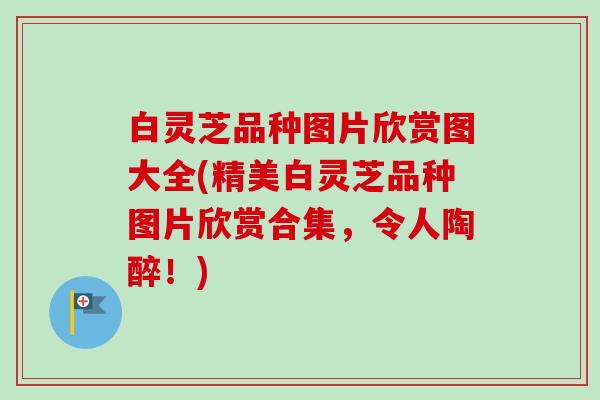 白灵芝品种图片欣赏图大全(精美白灵芝品种图片欣赏合集，令人陶醉！)