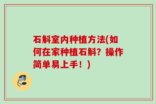 石斛室内种植方法(如何在家种植石斛?操作简单易上手!) 石斛室内种植方法(如何在家种植石斛?操作简单易上手!)