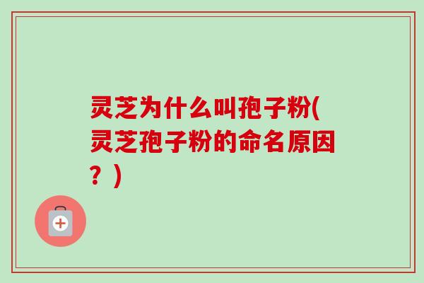 灵芝为什么叫孢子粉(灵芝孢子粉的命名原因?) 灵芝为什么叫孢子粉(灵芝孢子粉的命名原因?)