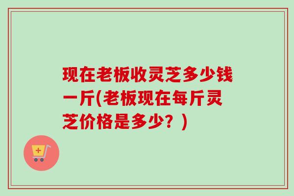 现在老板收灵芝多少钱一斤(老板现在每斤灵芝价格是多少?) 现在老板收灵芝多少钱一斤(老板现在每斤灵芝价格是多少?)