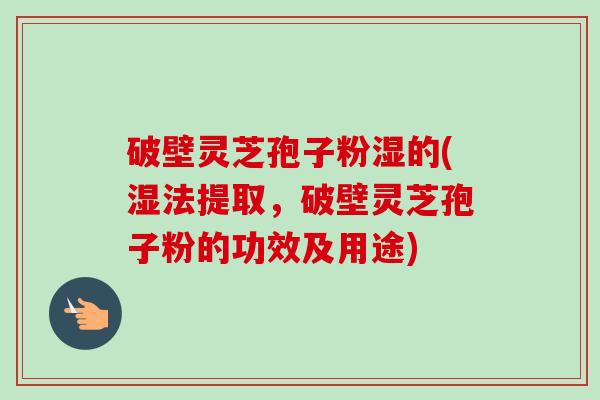 破壁灵芝孢子粉湿的(湿法提取，破壁灵芝孢子粉的功效及用途)