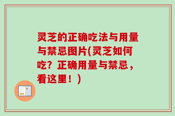 灵芝的正确吃法与用量与禁忌图片(灵芝如何吃?正确用量与禁忌,看这里!) 灵芝的正确吃法与用量与禁忌图片(灵芝如何吃?正确用量与禁忌,看这里!)