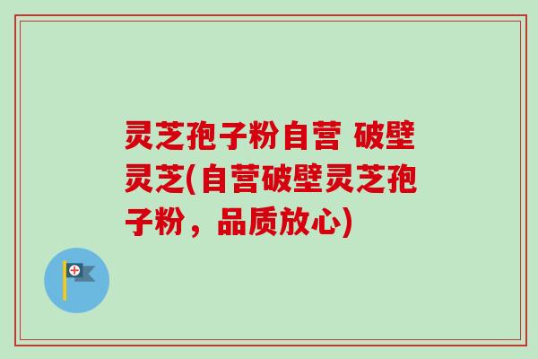 灵芝孢子粉自营 破壁灵芝(自营破壁灵芝孢子粉,品质放心) 灵芝孢子粉自营 破壁灵芝(自营破壁灵芝孢子粉,品质放心)