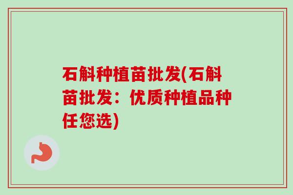 石斛种植苗批发(石斛苗批发:优质种植品种任您选) 石斛种植苗批发(石斛苗批发:优质种植品种任您选)