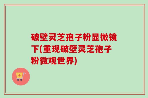 破壁灵芝孢子粉显微镜下(重现破壁灵芝孢子粉微观世界)