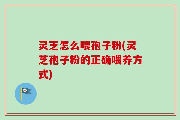 灵芝怎么喂孢子粉(灵芝孢子粉的正确喂养方式) 灵芝怎么喂孢子粉(灵芝孢子粉的正确喂养方式)
