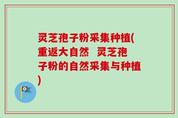 灵芝孢子粉采集种植(重返大自然 灵芝孢子粉的自然采集与种植) 灵芝孢子粉采集种植(重返大自然 灵芝孢子粉的自然采集与种植)