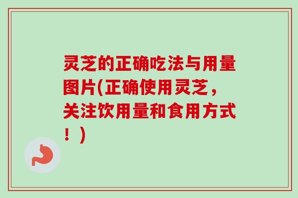 灵芝的正确吃法与用量图片(正确使用灵芝，关注饮用量和食用方式！)