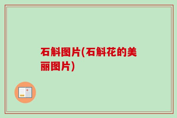 石斛图片(石斛花的美丽图片) 石斛图片(石斛花的美丽图片)