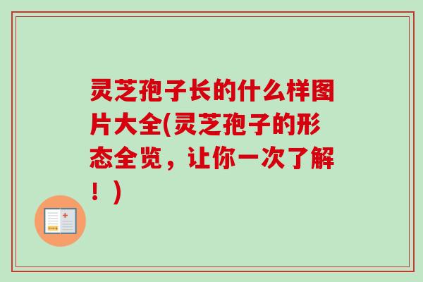灵芝孢子长的什么样图片大全(灵芝孢子的形态全览,让你一次了解!) 灵芝孢子长的什么样图片大全(灵芝孢子的形态全览,让你一次了解!)