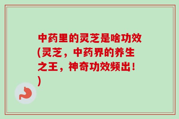里的灵芝是啥功效(灵芝,界的养生之王,神奇功效频出!) 里的灵芝是啥功效(灵芝,界的养生之王,神奇功效频出!)