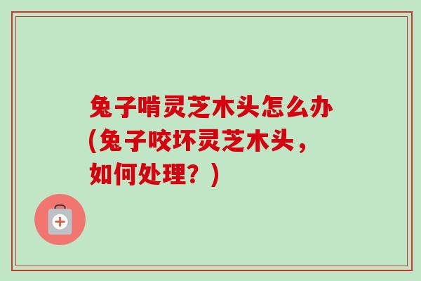 兔子啃灵芝木头怎么办(兔子咬坏灵芝木头，如何处理？)