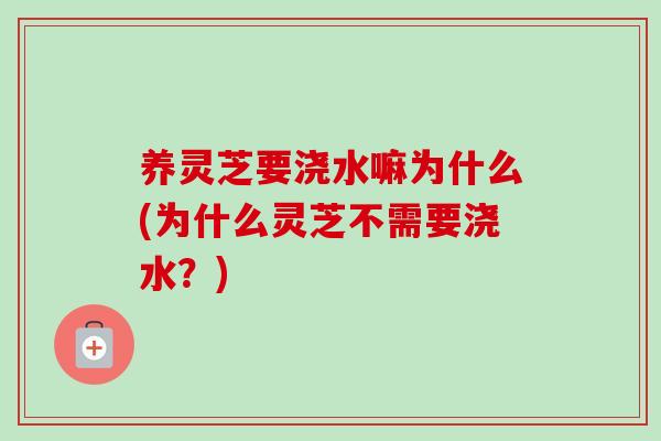 养灵芝要浇水嘛为什么(为什么灵芝不需要浇水?) 养灵芝要浇水嘛为什么(为什么灵芝不需要浇水?)