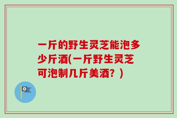 一斤的野生灵芝能泡多少斤酒(一斤野生灵芝可泡制几斤美酒?) 一斤的野生灵芝能泡多少斤酒(一斤野生灵芝可泡制几斤美酒?)