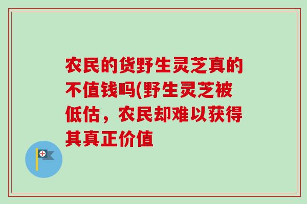 农民的货野生灵芝真的不值钱吗(野生灵芝被低估,农民却难以获得其真正价值 农民的货野生灵芝真的不值钱吗(野生灵芝被低估,农民却难以获得其真正价值