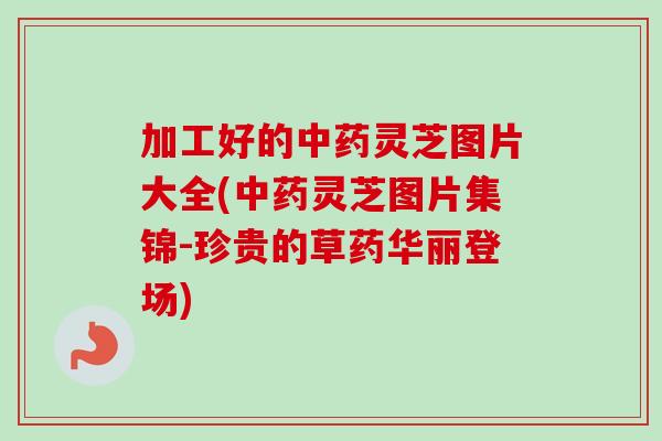 加工好的灵芝图片大全(灵芝图片集锦-珍贵的草药华丽登场) 加工好的灵芝图片大全(灵芝图片集锦-珍贵的草药华丽登场)