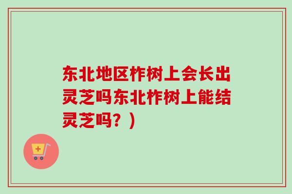 东北地区柞树上会长出灵芝吗东北柞树上能结灵芝吗？)