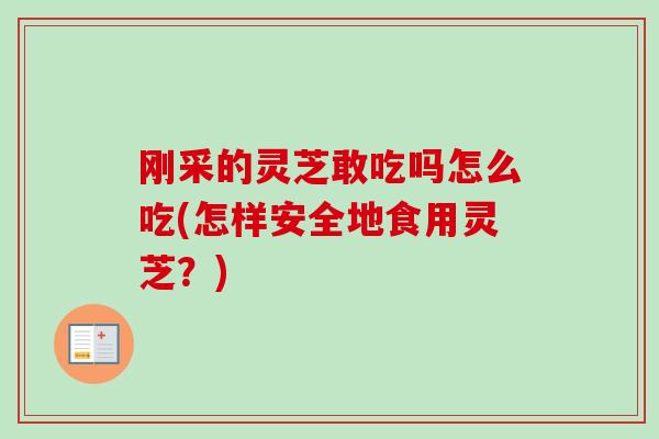 刚采的灵芝敢吃吗怎么吃(怎样安全地食用灵芝?) 刚采的灵芝敢吃吗怎么吃(怎样安全地食用灵芝?)