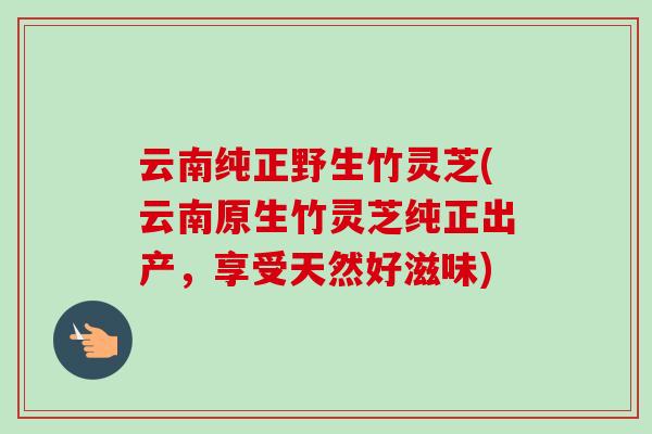 云南纯正野生竹灵芝(云南原生竹灵芝纯正出产,享受天然好滋味) 云南纯正野生竹灵芝(云南原生竹灵芝纯正出产,享受天然好滋味)