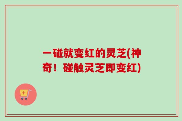 一碰就变红的灵芝(神奇!碰触灵芝即变红) 一碰就变红的灵芝(神奇!碰触灵芝即变红)