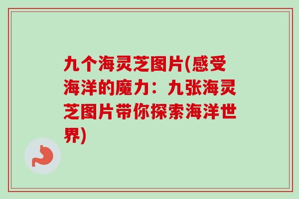 九个海灵芝图片(感受海洋的魔力：九张海灵芝图片带你探索海洋世界)